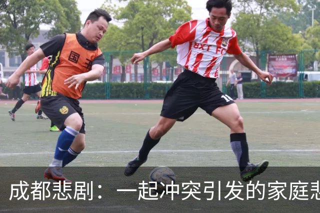 成都悲剧：一起冲突引发的家庭悲剧与人性的考量